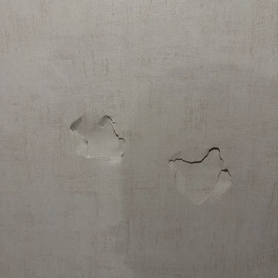 한 벽면에 두 군데가 함께 떨어져 나간 파손 현장